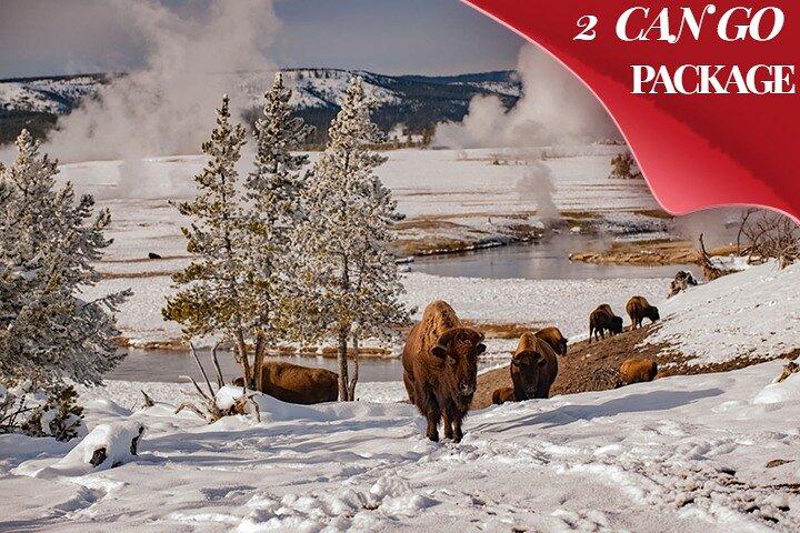 3 - Day Yellowstone, Grand Teton Winter Discovery Tour met kleine groep