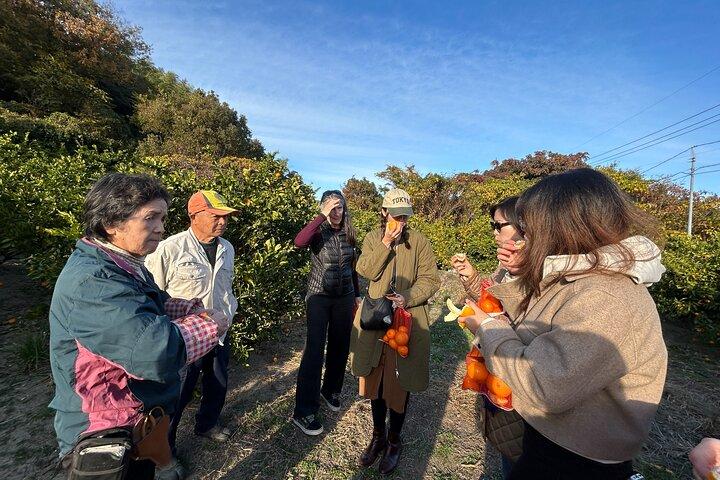 Miyakubochu Walking Foodie Adventure