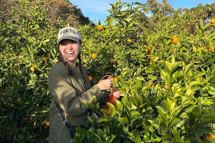 Miyakubochu Walking Foodie Adventure
