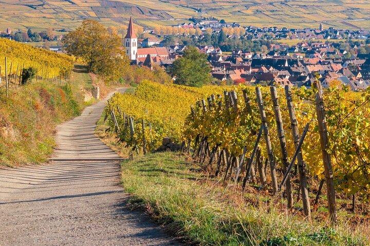 Excursion sur la Route des Vins d'Alsace