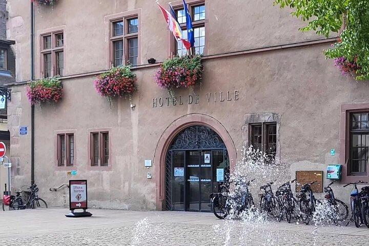 Excursion sur la Route des Vins d'Alsace