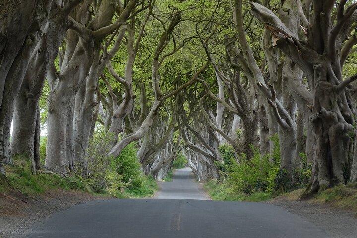 Dagtour van Dublin naar Giants Causeway Belfast en Dark Hedges
