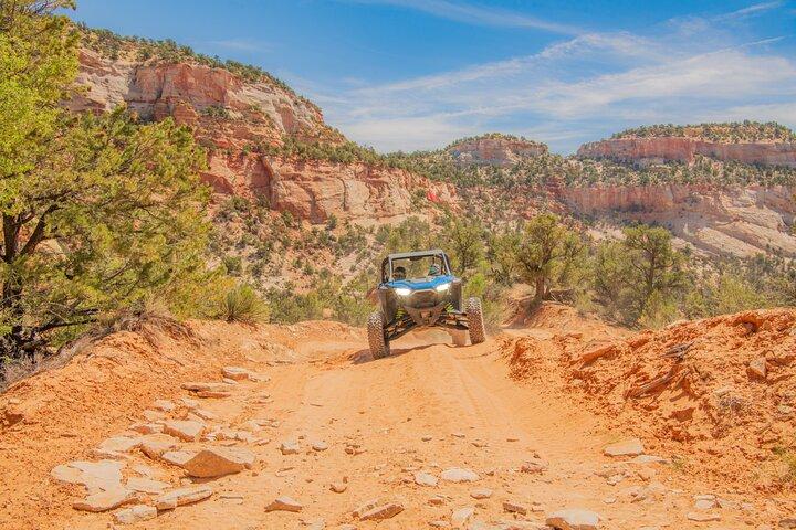 Zion UTV Adventure! Du fährst!! 4-stündige UTV-Tour