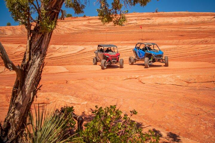 Zion UTV Adventure! Du fährst!! 4-stündige UTV-Tour