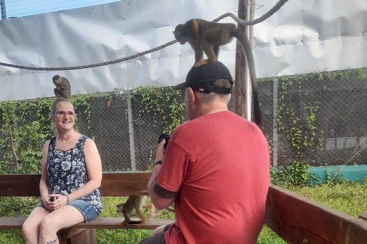 Monkey Paradise Experience e passeio pela cidade de Puerto Plata
