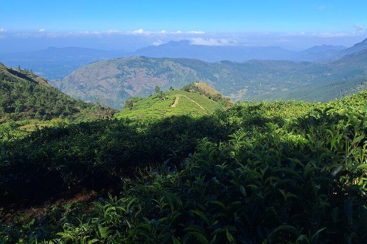 3 - Sentiers de randonnée d'une journée à Horton Plains Foothills