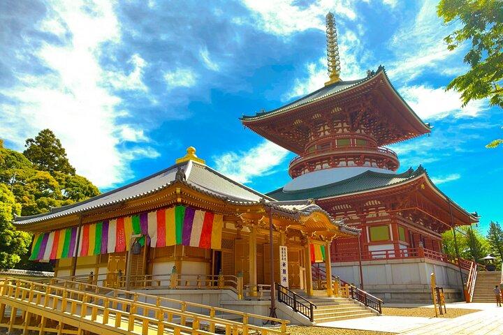 Narita: Shinshoji Temple Highlights Walk & Peace Pagoda