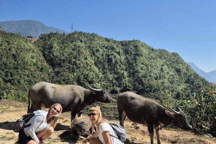 Privé 2 - Dag Sapa Avontuur met de auto met Homestay