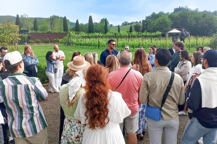 Chianti Halvdags vinprovningstur från Siena