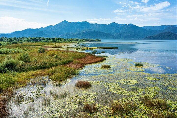Skadar Lake Private Boat Tour og opdage Montenegrin Venedig