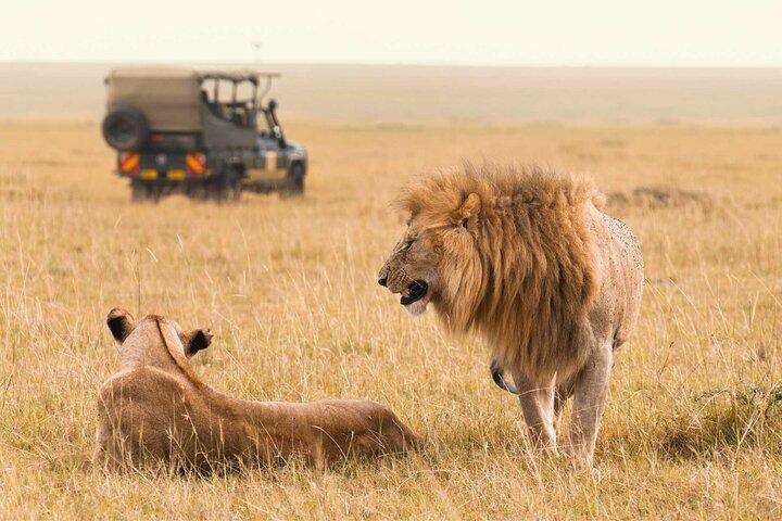 Day Trip to Amboseli National Park with a view of Mt Kilimanjaro