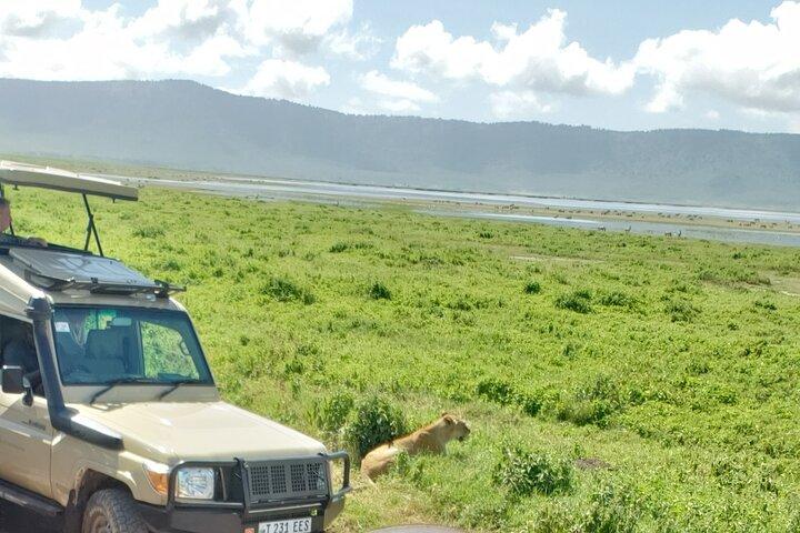 Ngorongoro krater 3-dages privat tur