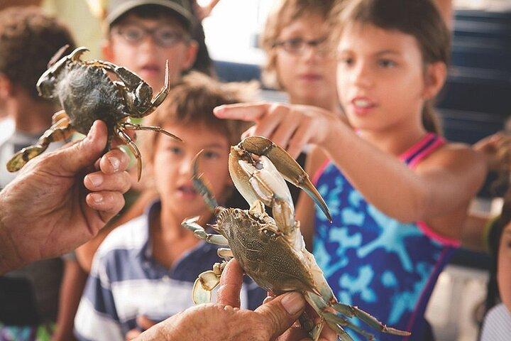 Blue Crabbing Excursion