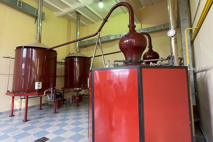 Hoteller i nærheden af Căpriana Monastery & Château Cojușna Wine Tour