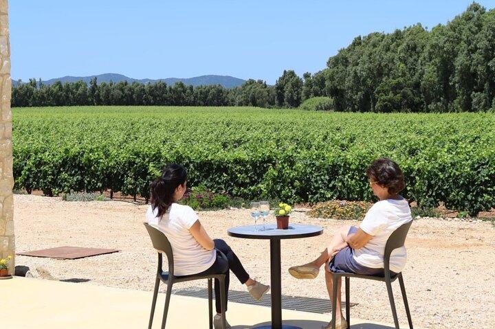 Alghero: guided tour of the winery with wine tasting