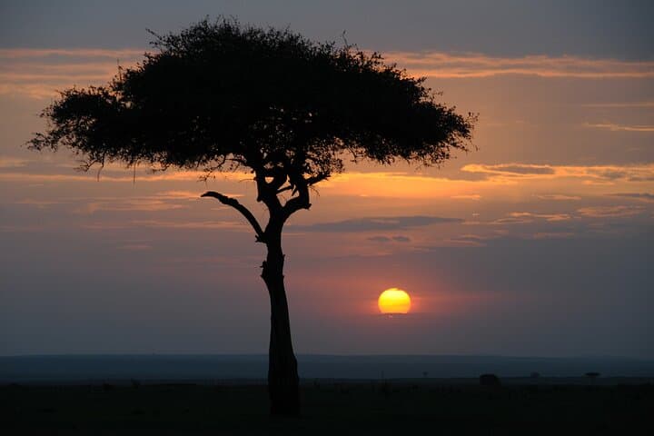 4 Day Tour of Lake Nakuru NP and Masai Mara National Reserve