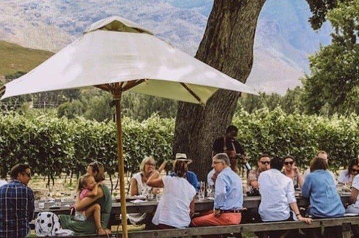 Franschhoek Wine Tram Tour com Hotel Pickup e Retorno