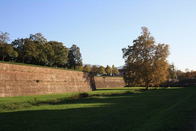 Guinigi Tower