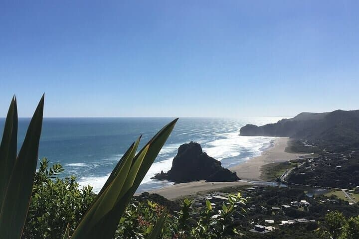 Private Sightseeing Tour in Auckland