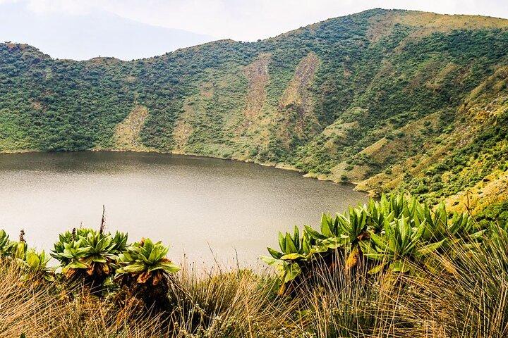 1 - Tagestour zum Vulkan Bisoke in Ruanda