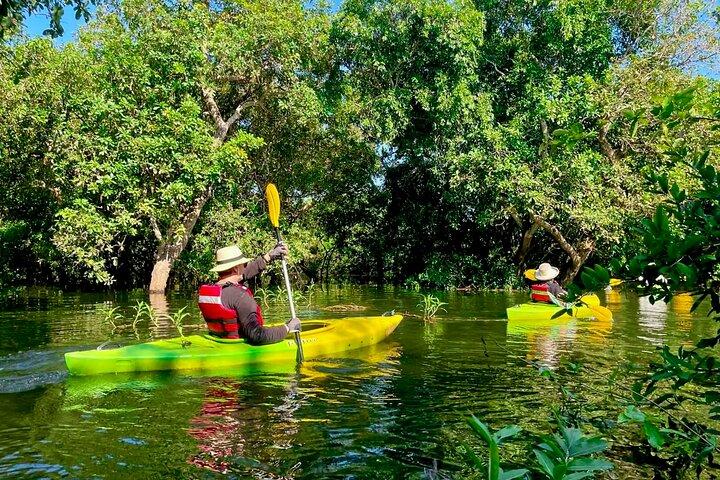 Chong Kneas Floating Village Rowing Boat Tour on Tonlé Sap Lake