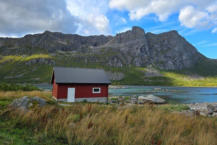 Arctic Fjord Explorer : Berge, Küste & versteckte Strände