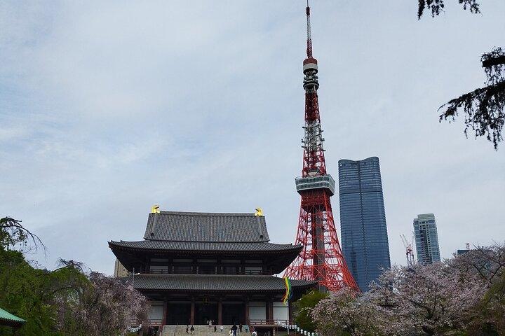 Tour the Heart of Tokyo - Med biljetter till Tokyo Tower
