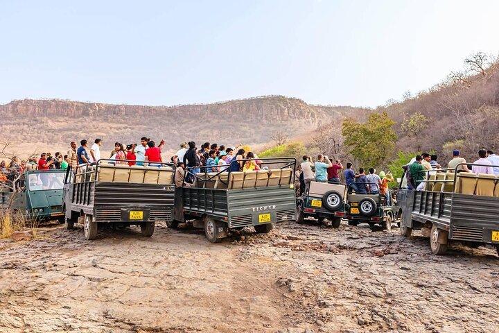 Excursion d'une journée de Jaipur à Ranthambore avec Tiger Safari