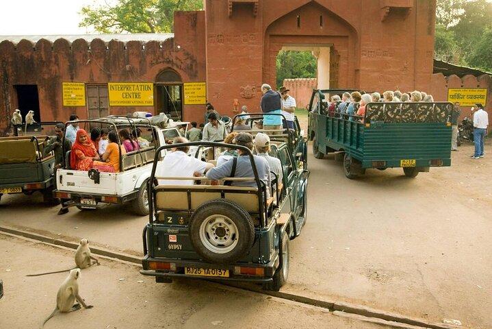 Excursion d'une journée de Jaipur à Ranthambore avec Tiger Safari