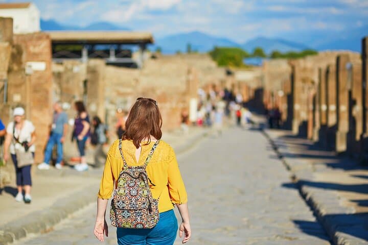 Private Pompeii and Herculaneum from Rome with High Speed Train