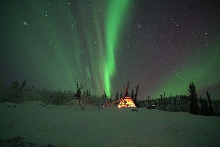 Scopri Whitehorse con Northern Lights e Yukon Wildlife Tour