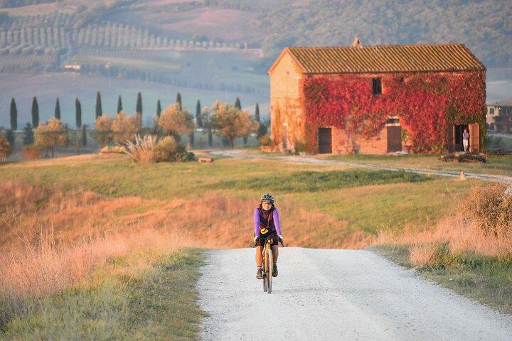Montalcino e-bike tour and Brunello tasting