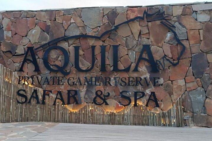 Aquila Big Five Safari en wijnproeverij Volledige dag privétour