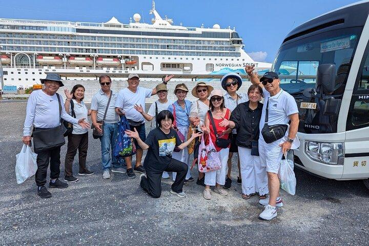 Private Sightseeing-Tour ab Shimizu Port Medium Bus
