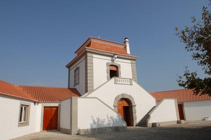 Wines from Cascais and Sintra - Full Day Private Tour