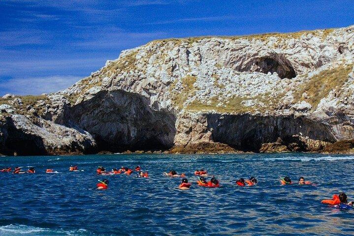 Marietas Islands Snorkelen Avontuur met Open Bar en Lunch