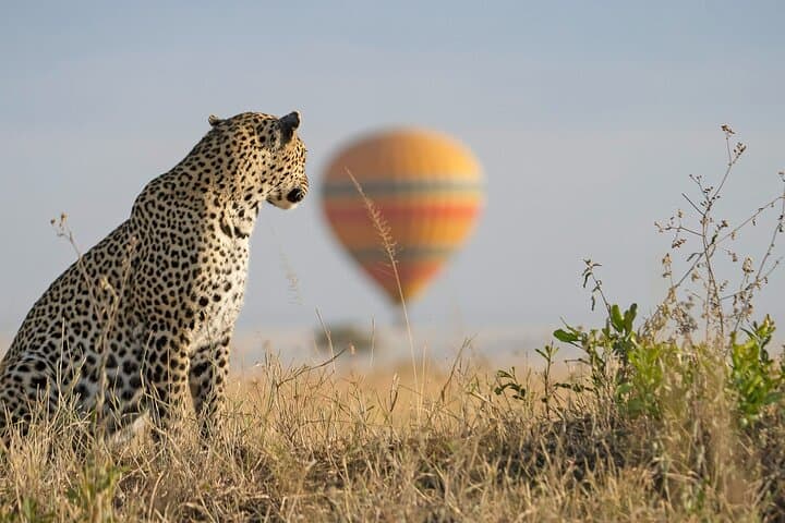 3Days Maasai Mara Group Safari in Landcruiser