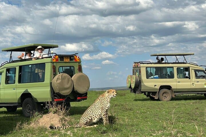 3Days Maasai Mara Group Safari in Landcruiser