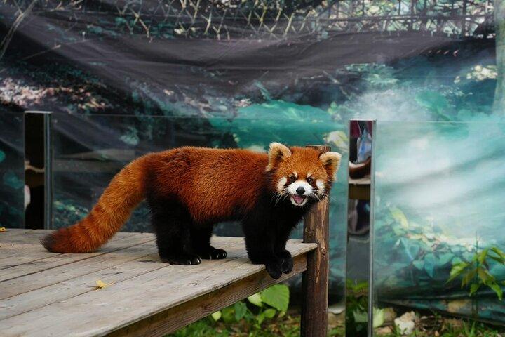 Halv dagars privat tur till Yanoda Tropical Rain Forest Park