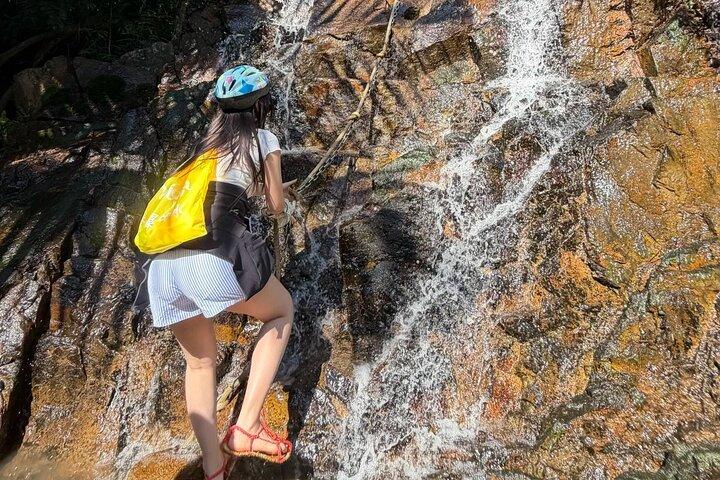 Halv dagars privat tur till Yanoda Tropical Rain Forest Park