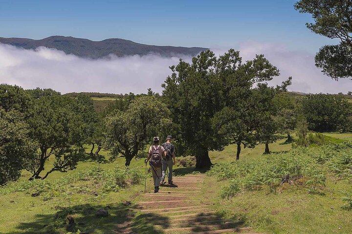 Paseo guiado por la naturaleza de Madeira