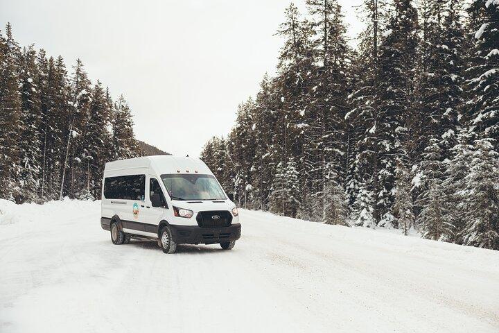 Udforsk Banff + Wildlife