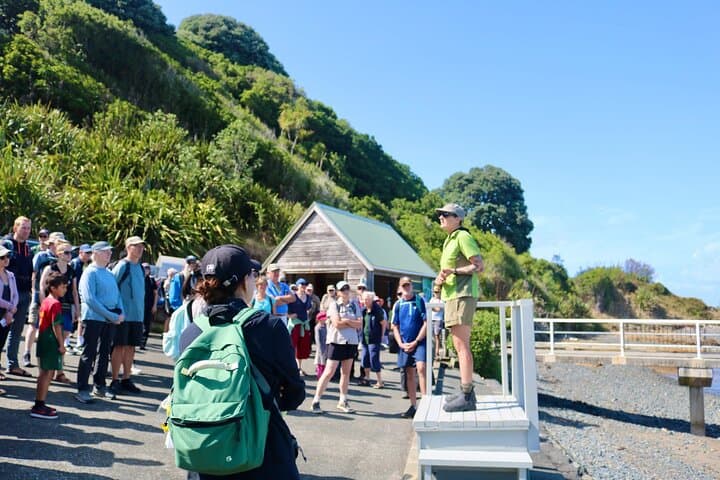 Tiritiri Matangi Island Discovery - from Auckland