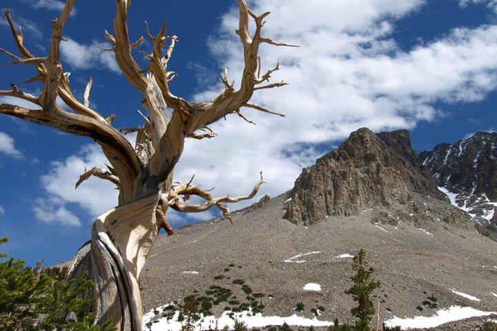 Great Basin National Park: 2 dages privat eventyr