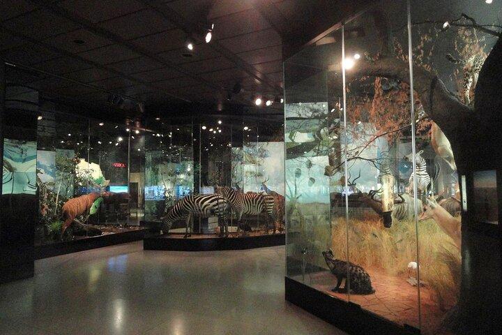 Houston Museum Natural Science Pass Discovery