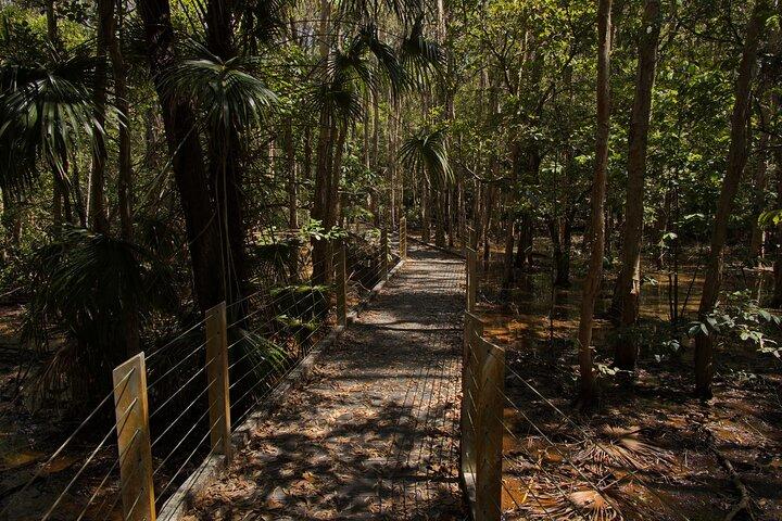 Darwin Private Shore Tour: Vildkrokodilsafari och Fogg Dam