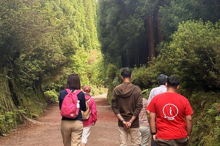 São Miguel Highlights Sete Cidades e Lagoa do Fogo Tour