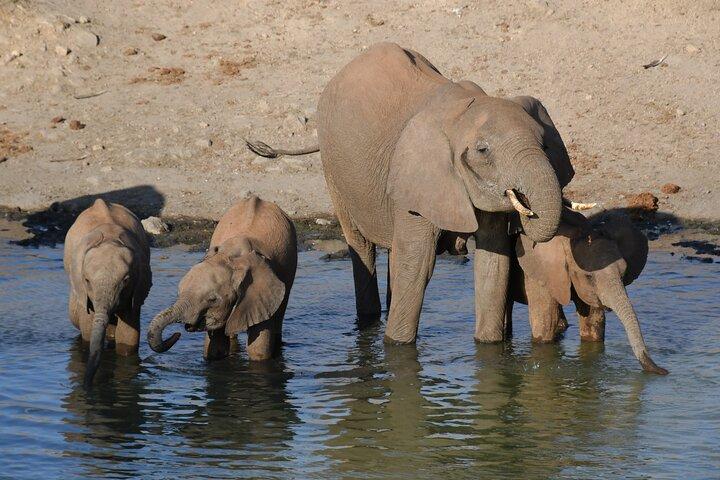 10 dagars Safari plus Diani Beach