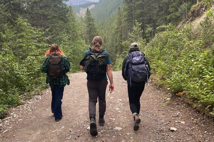 Escursioni benessere nei Wild Canyons nelle Montagne Rocciose da Calgary