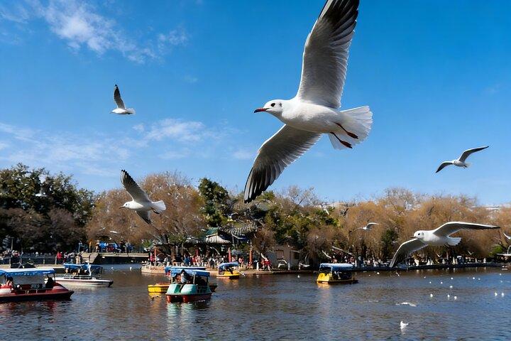 4 dias de descoberta privada Yunnan de Xangai: Kunming, Dali e Lijiang